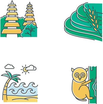 Indonesia color icons set. Tropical country animals. Vacation in Indonesian islands. Exploring exotic wildlife. Unique flora and fauna. Bali sightseeing and architecture. Isolated vector illustrations