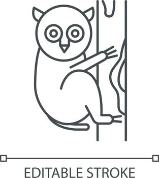 Tarsier linear icon. Tropical country animals, mammals. Exploring exotic Indonesia wildlife. Primate on tree. Thin line illustration. Contour symbol. Vector isolated outline drawing. Editable stroke