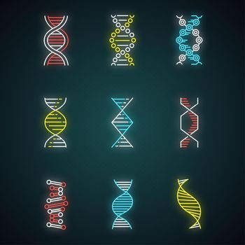 DNA spirals neon light icons set. Deoxyribonucleic, nucleic acid helix. Spiraling strands. Chromosome. Molecular biology. Genetic code. Genetics. Medicine. Glowing signs. Vector isolated illustrations