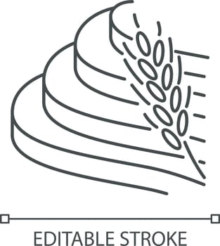 Rice terraced field linear icon. Agricultural products. Indonesian farmland. Terrace farming. Growing cereal. Thin line illustration. Contour symbol. Vector isolated outline drawing. Editable stroke