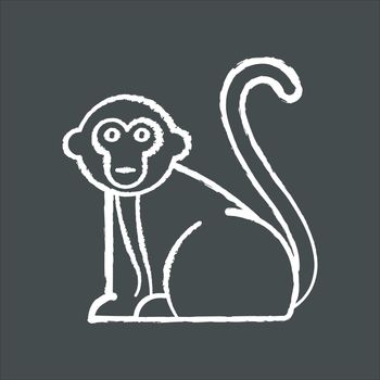 Monkey chalk icon. Tropical country animals, mammals. Trip to Indonesia zoo. Exploring exotic wildlife. Primate sitting. Visiting Balinese forest fauna. Isolated vector chalkboard illustration