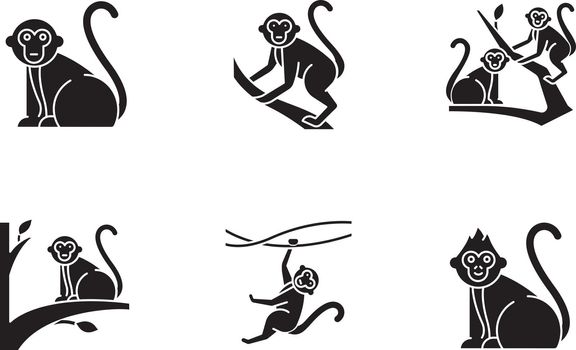 Monkeys in wild glyph icons set. Tropical animals on trees. Exploring exotic Indonesian wildlife. Primate sitting. Visiting Balinese forest fauna. Silhouette symbols. Vector isolated illustration