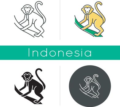 Monkey on liana icon. Tropical country animal, mammal. Exploring exotic Indonesia islands wildlife. Primate climbing. Linear, black, chalk and color styles. Isolated vector illustrations