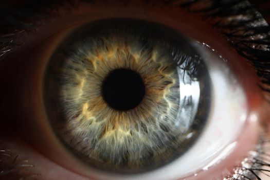Persons eye with beautiful green shades taken in macro shot