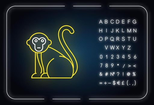 Monkey neon light icon. Tropical country animals. Trip to Indonesia zoo. Primate sitting. Visiting Balinese forest fauna. Glowing sign with alphabet, numbers and symbols. Vector isolated illustration