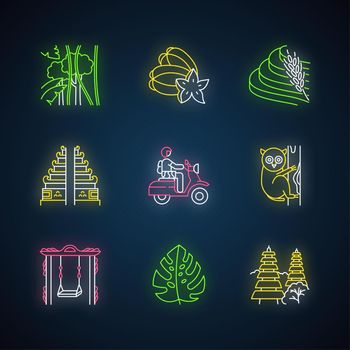 Indonesia neon light icons set. Tropical country animals. Trip to Indonesian islands. Exploring exotic culture. Unique flora. Architecture landmarks. Glowing signs. Vector isolated illustrations