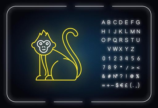 Baby monkey neon light icon. Tropical country animal, mammal. Exploring Indonesian islands wildlife. Cute primate sitting. Glowing sign with alphabet, numbers and symbols. Vector isolated illustration