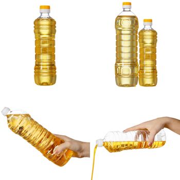 Sunflower oil bottles collage on white background