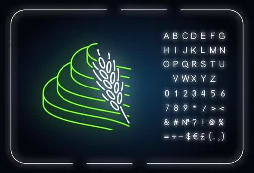 Rice terraced field neon light icon. Agricultural products. Indonesian farmland. Asian terrace farming. Glowing sign with alphabet, numbers and symbols. Vector isolated illustration