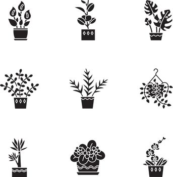 Domesticated plants black glyph icons set on white space. Houseplants. Decorative plants. African violet, ficus, monstera. Peace lily, pothos, yucca. Silhouette symbols. Vector isolated illustration