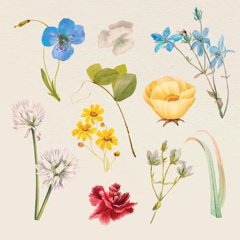 Vintage summer flower name vector illustration set, remixed from public domain artworks