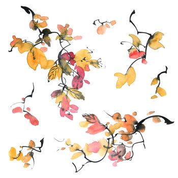 Watercolor twig with leaves