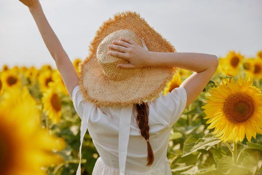 woman with pigtails in a straw hat in a white dress a field of sunflowers agriculture countryside. High quality photo