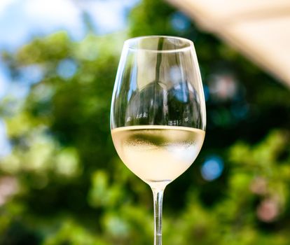 White wine in luxury restaurant on summer garden terrace, wine tasting experience at winery in the vineyard, gourmet tour and holiday travel