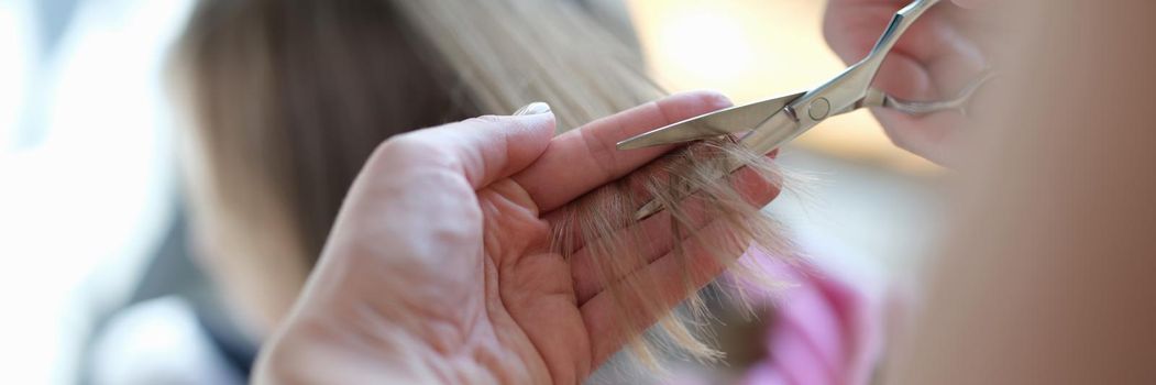 Master hairdresser cuts split ends of hair with scissors closeup