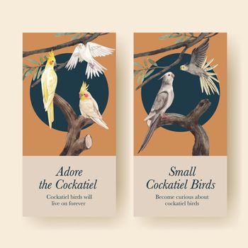 Flyer template with cockatiel bird concept,watercolor style
