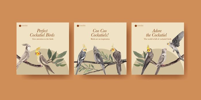Banner template with cockatiel bird concept,watercolor style