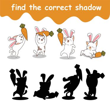 find the correct shadow sheet
