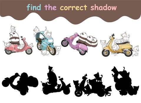 find the correct shadow sheet