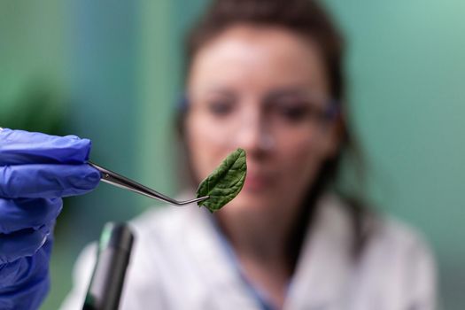 Biochemist scientist woman holding leaf sample analyzing genetically modified organic plants