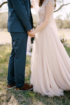 Groom and bride are holding hands while standing on the grass. Close-up