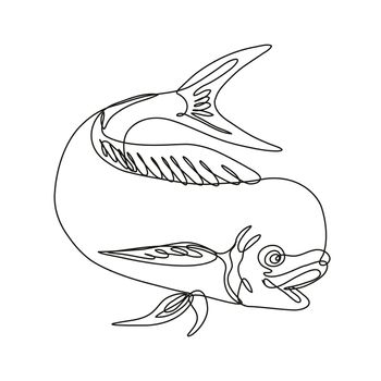 Dorado Dolphin Fish or Mahi Mahi Jumping Down Continuous Line Drawing 