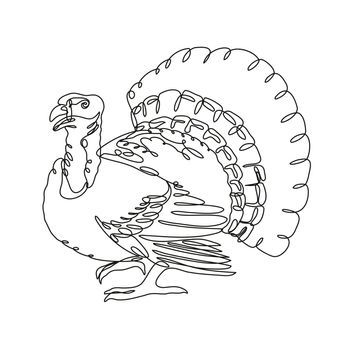 Wild Turkey or Domestic Turkey Side View Continuous Line Drawing 