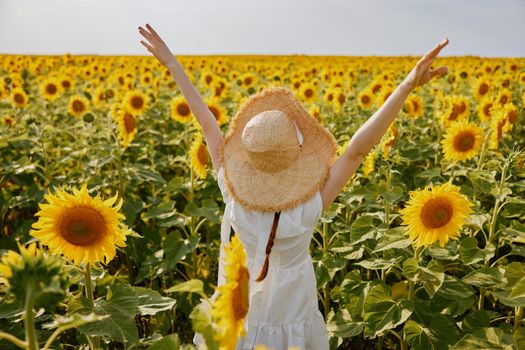 woman holding her hands above her head sunflower field nature landscape freedom. High quality photo