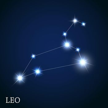 Leo Zodiac Sign of the Beautiful Bright Stars Vector Illustration