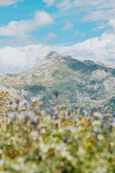 Picturesque summer landscape of highland Beautiful landscape with mountains. Viewpoint panorama in Lagos de Covadonga, Picos de Europa National Park, Asturias, Spain