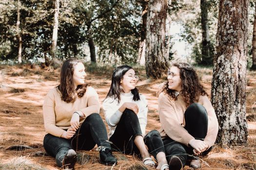Three young woman students chatting in the forest during a sunny day, friendship, love and care concept