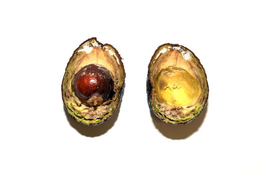 Rotten avocado with mold split in half. The avocado is spoiled. Rotten avocado fruit on white background