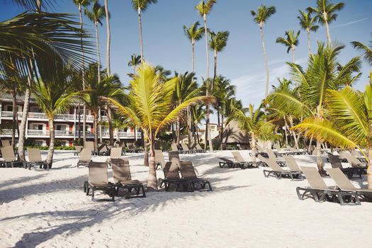 beach sun loungers white sand palm trees tropics landscape luxury