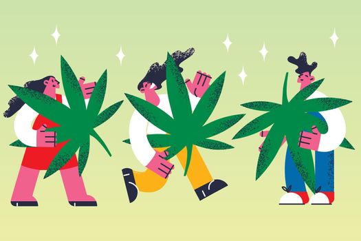 Growing marijuana grass legalization concept