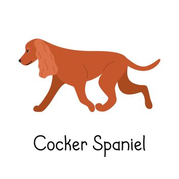 Seamless pattern with canine American or English Cocker Spaniel dog breed
