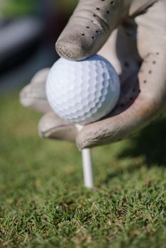 golf player placing ball on tee