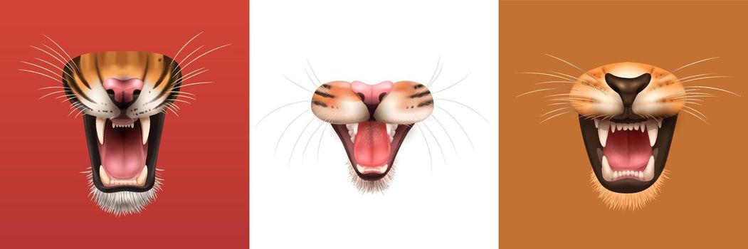 Realistic design concept with open mouth of angry roaring cat family animals isolated vector illustration