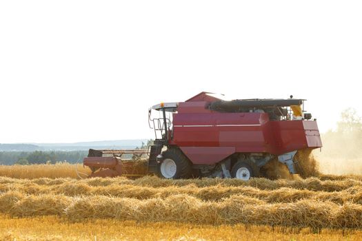 The harvester is bulk harvested grain
