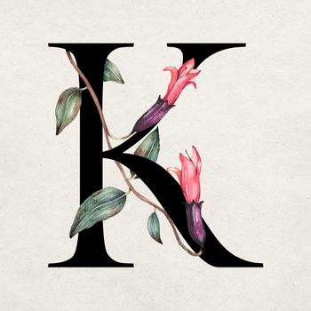Floral k letter font vector romantic typography