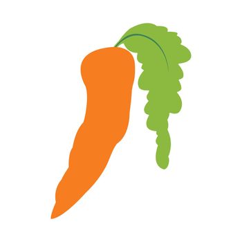 Fresh carrot vector with flat illustration.
