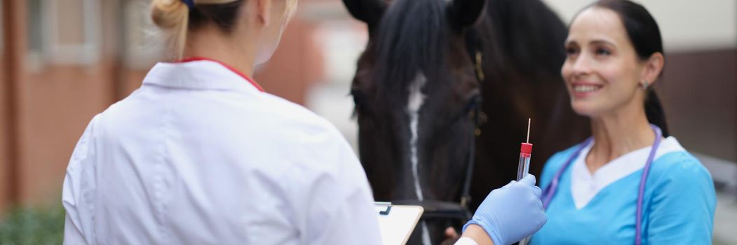 Doctor veterinarian giving test tube to nurse to take swab from horse nose