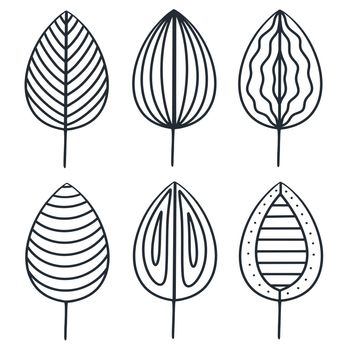 Leaf set in doodle style isolated vector illustration