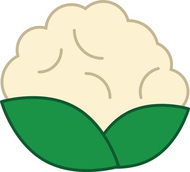 Cauliflower Filled Outline Icon Vegetable Vector