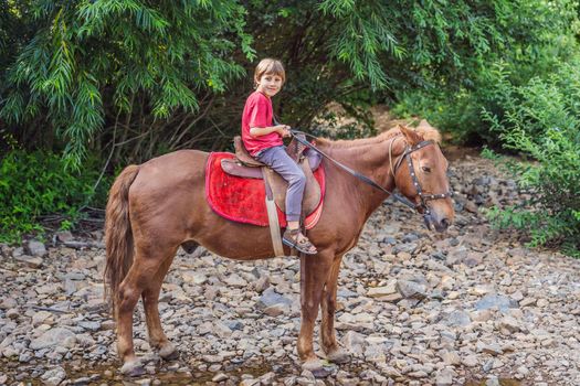 Boy rides a horse in the forest