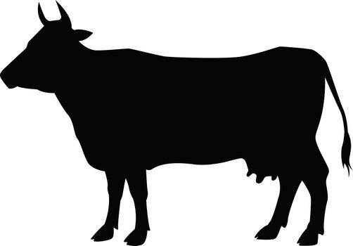The silhouette of a cow. Domestic animal.