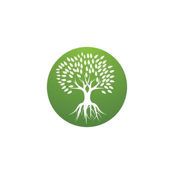 Tree logo template 