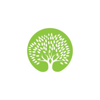 Tree logo template 
