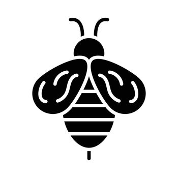 Bee Glyph Icon Animal Vector