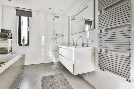 Sleek bathroom in grayscale daylight