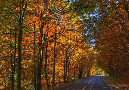 Beautiful  places in Transylvania autumn pictures